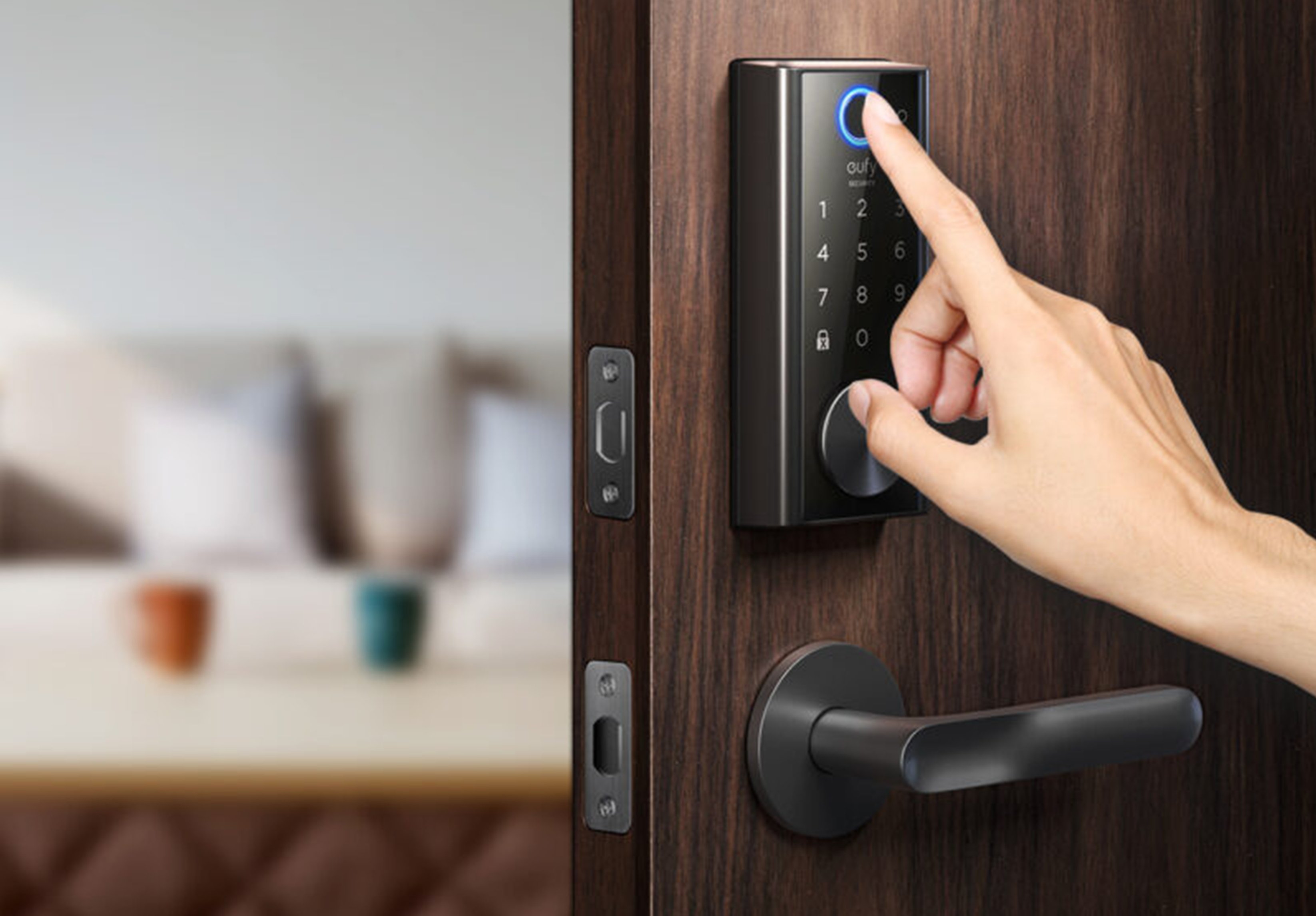 Door Lock Biometric